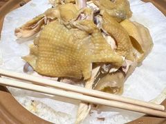 -金苑酒家·客家菜·广东老字号(万象店)