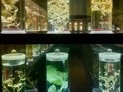 -广东中医药博物馆