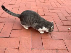 -山东鲁能乒乓球学校