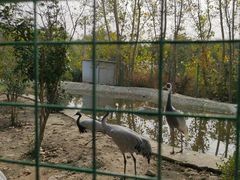 -宿豫区运河湾森林动物园