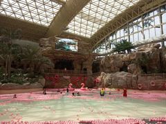 -杭州开元森泊度假乐园