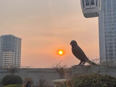 -泰盛楼顶摩天轮