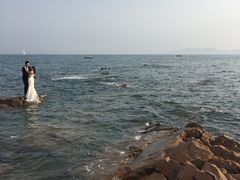 -青岛贝壳博物馆
