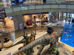 -成都浩海立方海洋公园