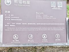 -都江堰中华大熊猫苑