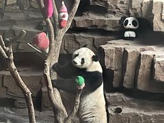 -济南野生动物世界