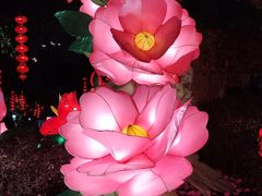-广州文化公园