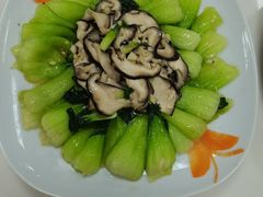 -大班家政月嫂育儿嫂(总部店)