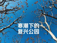 -复兴公园
