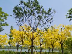 -东郊湿地公园