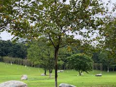 -广州国际生物岛山地公园揽胜园