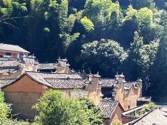 -杨家堂村