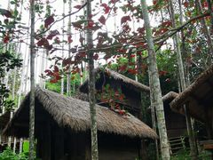-海南槟榔谷黎苗文化旅游区