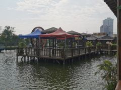 -一煲鸽