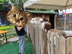 -萌宠亲子动物乐园(槐房万达店)