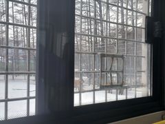 -横道河子东北虎林园