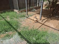 -石家庄市动物园