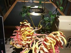 -呷哺呷哺(悦荟广场店)
