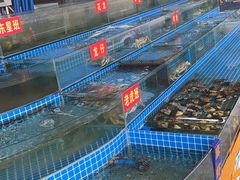 -双福水果批发市场