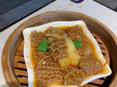-点都德·毕德寮