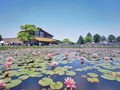 -宁波杭州湾国家湿地公园