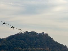 -九曜山