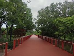 -青枫公园