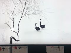 -BLACKSWAN黑天鹅(环球店)