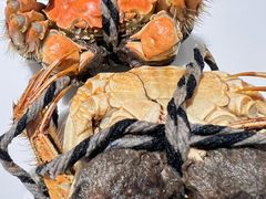 -晶丽香榭自助餐(南京大饭店)