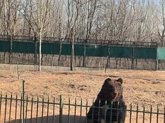-秦皇岛野生动物园