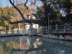 -汇龙潭