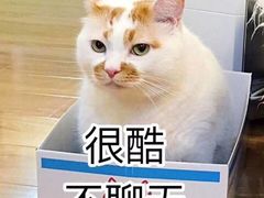 -沙野轻食(静安寺店)