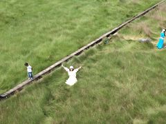 -王借岗森林公园