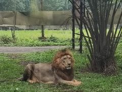 -海南热带野生动植物园