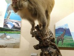 -广东省博物馆