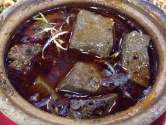 天一沾水肥肠-天一沾水肥肠(科园一街店)