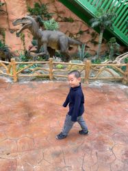 -宝燕乐园(闵行旗舰店)