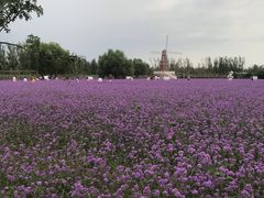 -渔岛海洋度假区