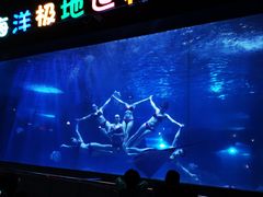 -蓬莱欧乐堡海洋极地世界