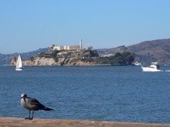 -阿尔卡特拉斯岛