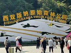 -西双版纳原始森林公园