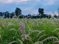 -汉长安城未央宫国家考古遗址公园