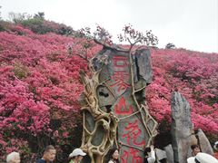 -木兰云雾山