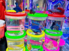 -清平路水族市场