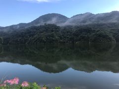 -广州市石门国家森林公园