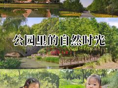 -贡湖湾湿地公园