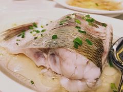 白水鱼-太湖饭店·寄畅轩中餐厅
