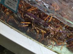 -白金汉爵大酒店·中餐厅(相城店)