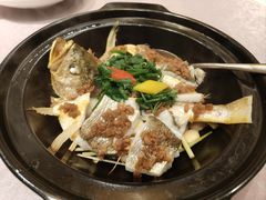 -九朝会昆曲·宴(望京店)