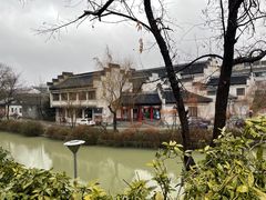 -富春茶社(国庆路店)